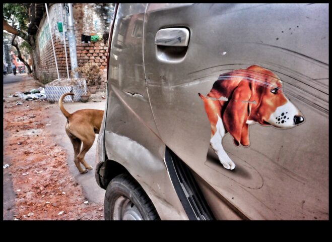 Пътувам напред-назад Съпоставяне според контрастни видове за уникално изживяване при екскурзия