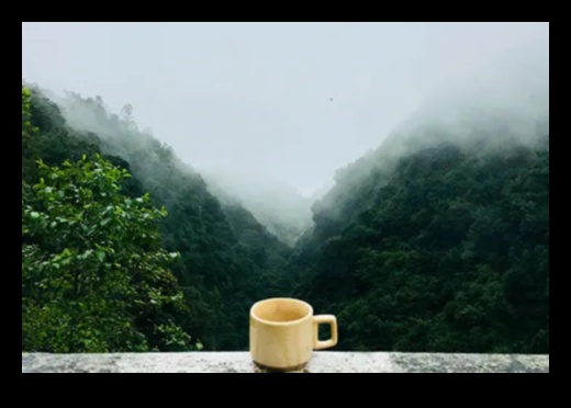 Tea Time Bliss: Открийте успокояващата елегантност на азиатските инфузии