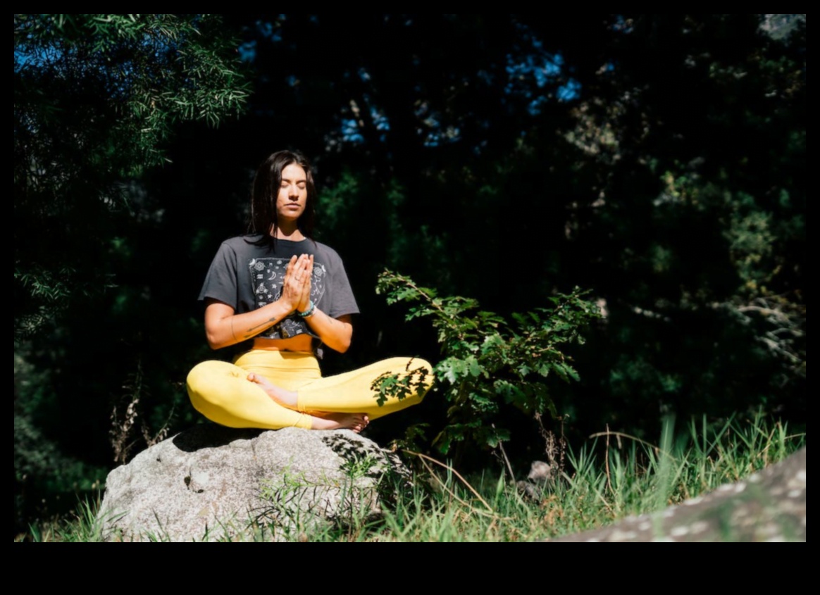 Съзнателна трансцендентност: Издигане на живота ви чрез осъзнаване