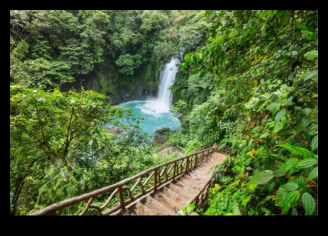 Екологични приключения: Приключения с обществен транспорт за любители на природата