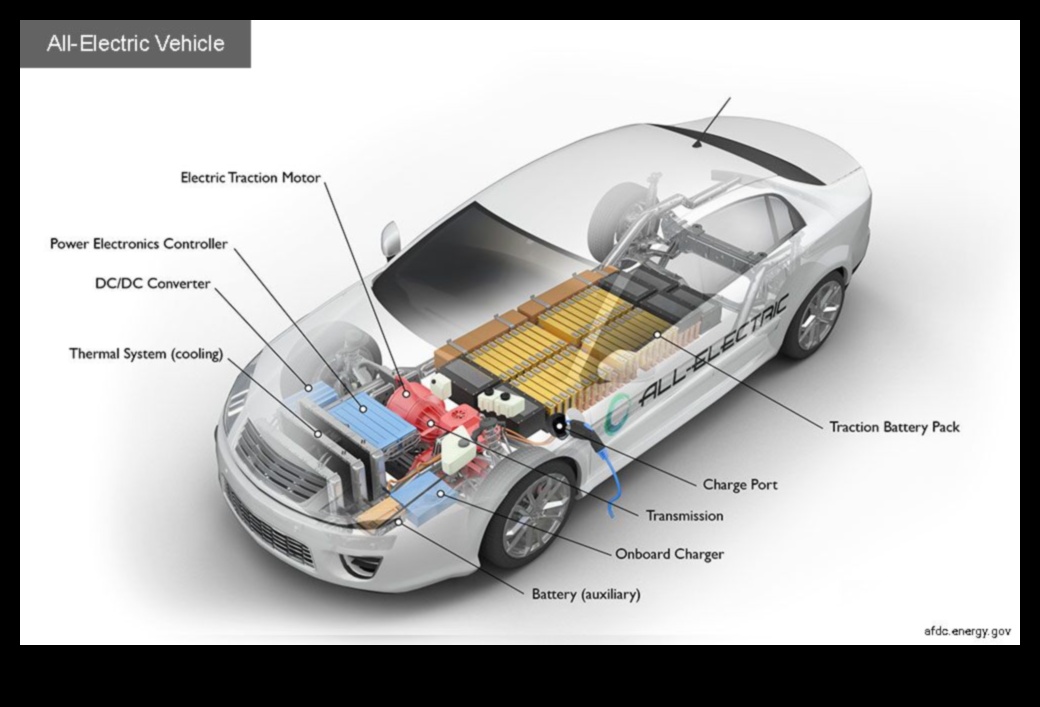 Устойчиви пътувания: Нарастващата привлекателност на електрическите превозни средства