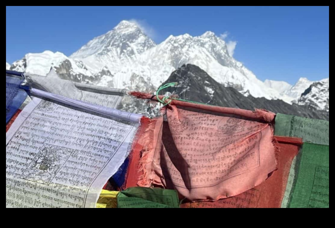 Insight Incline: Изкачване на върховете на мъдростта на пътуването