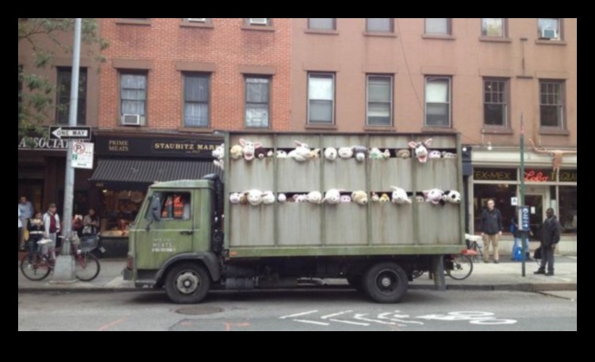 Изкуството на тегленето: Естетическа красота в света на камионите