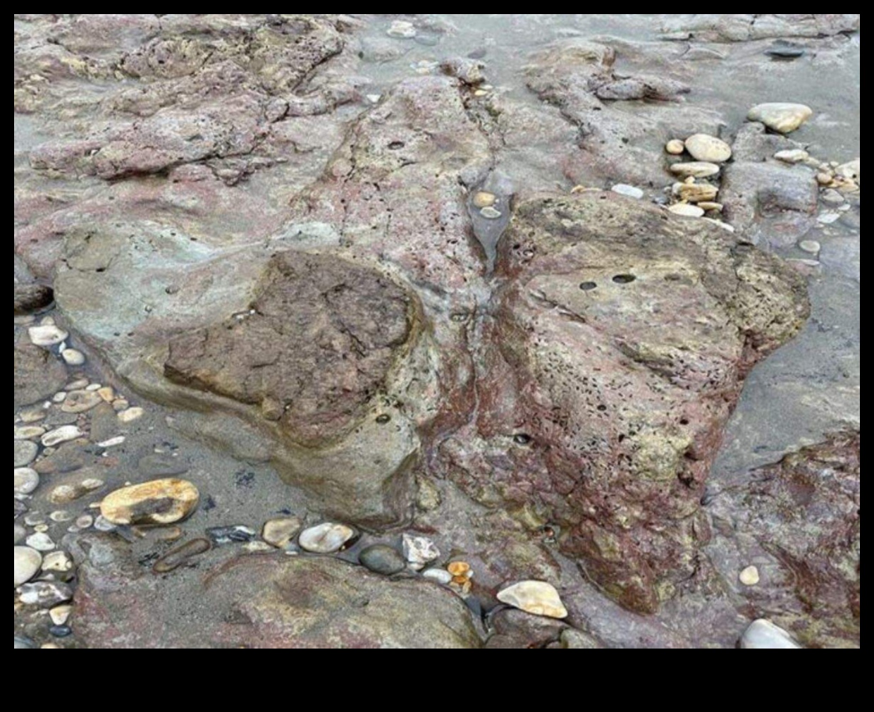 Разкрити отпечатъци: Изследване на света стъпка по стъпка