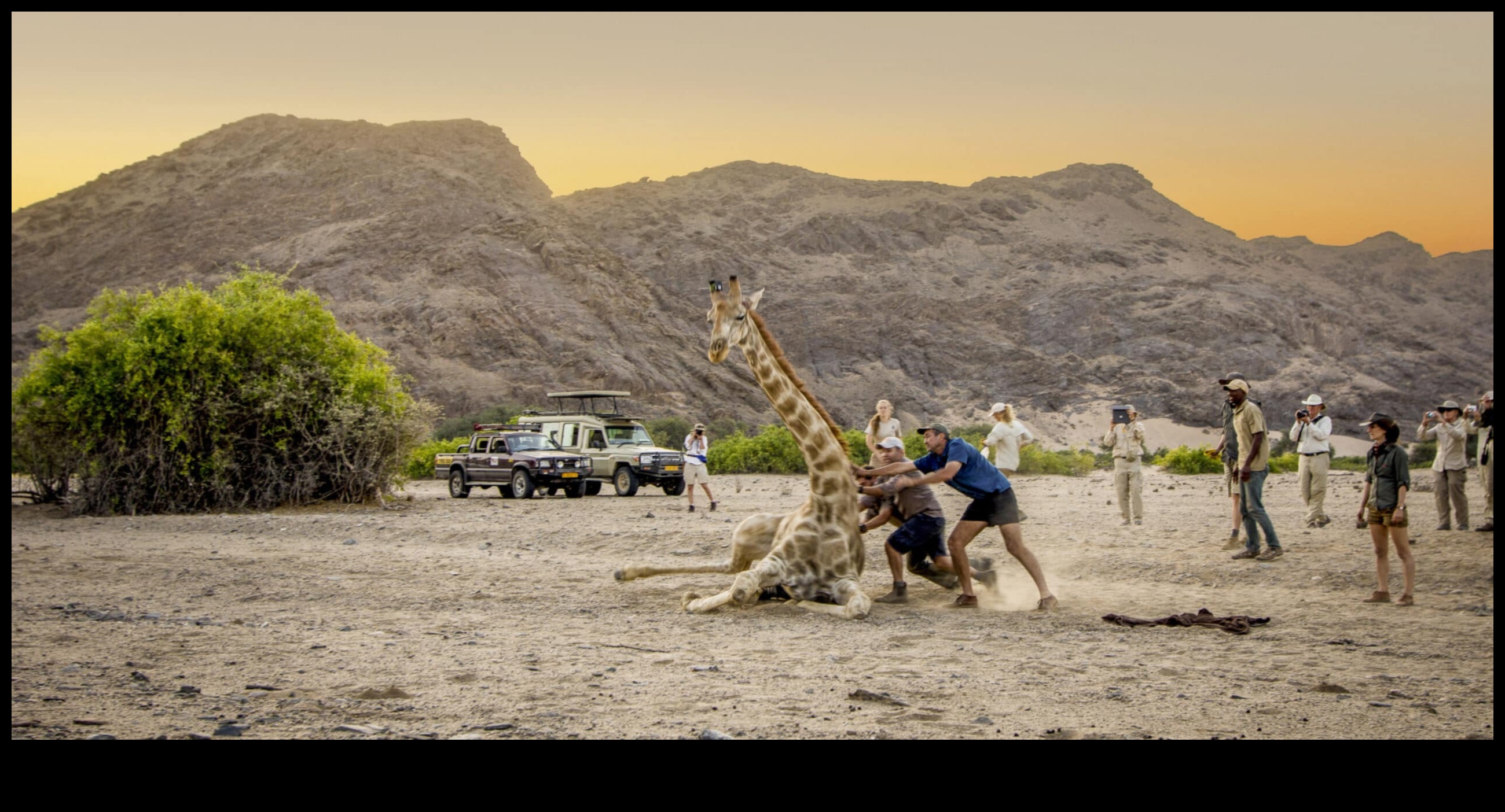 Екологични експедиции: Хибридни приключения за опазване на природата