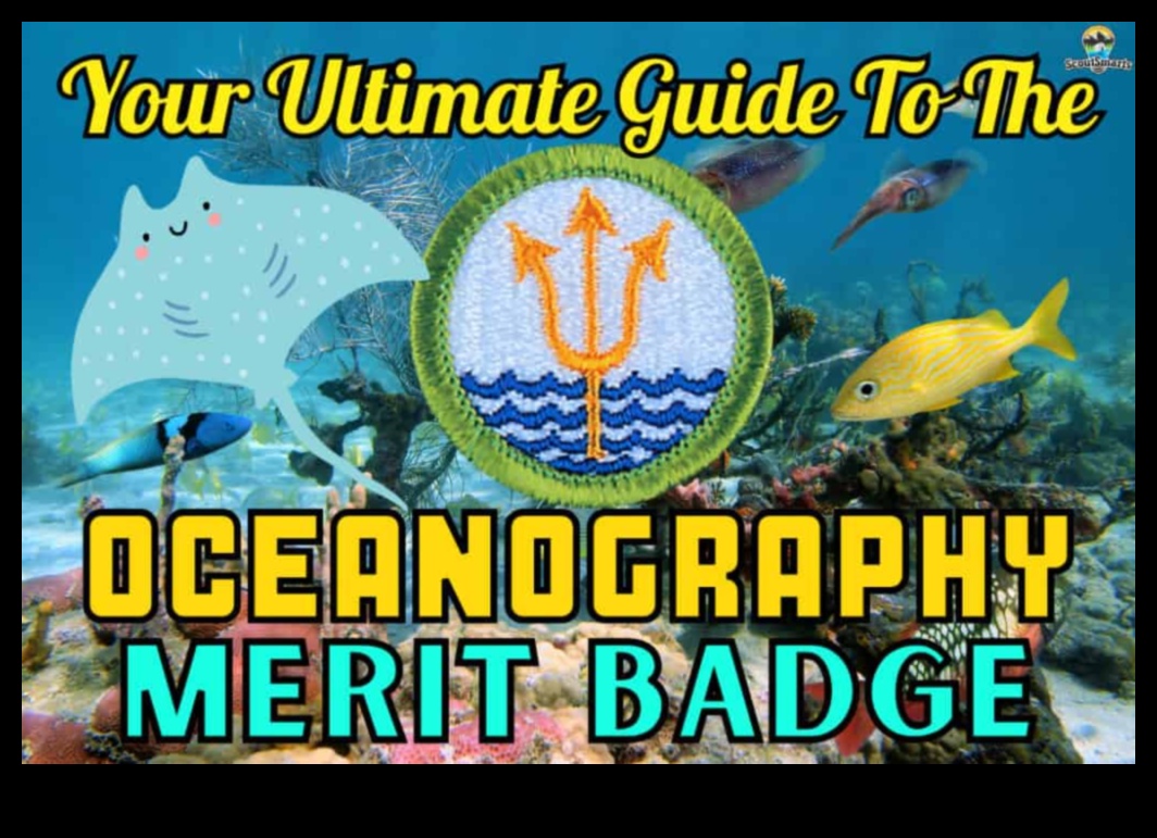 Графика на теченията: Яхване на вълните на съвети за пътуване