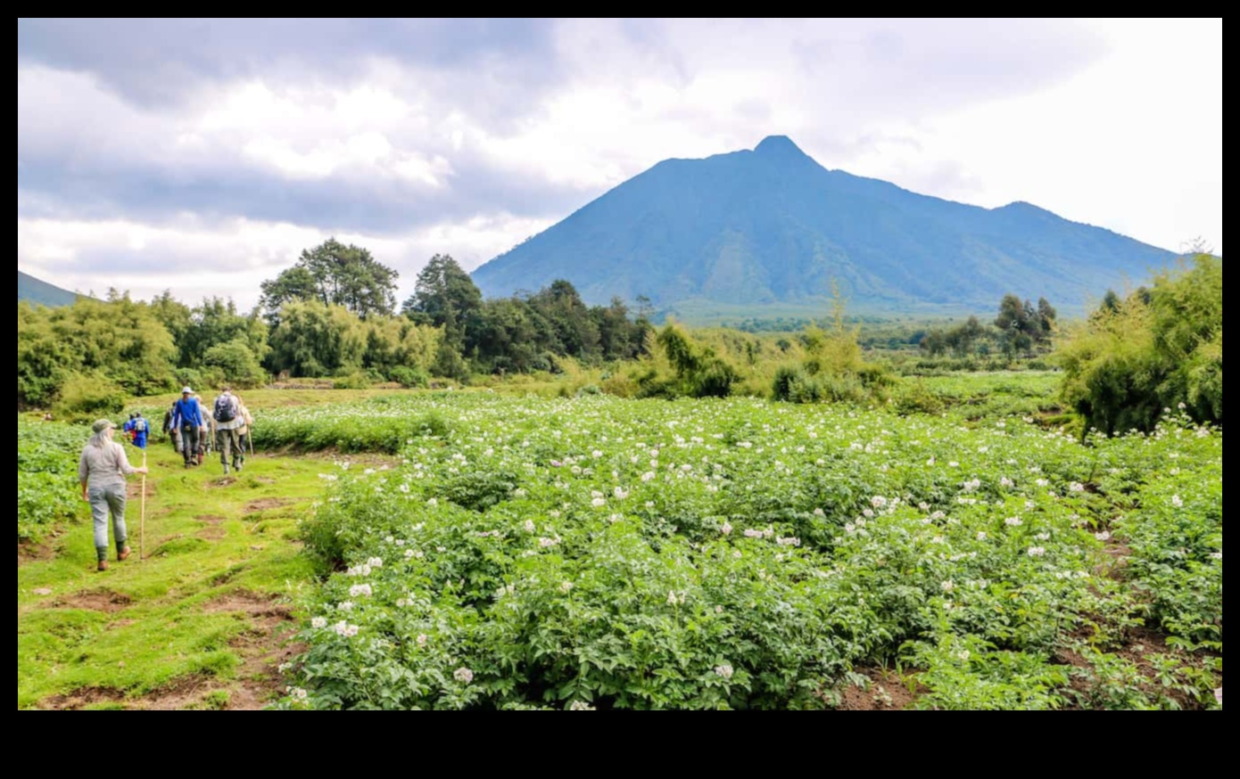 Навигирайте сред природата: прегърнете природата с екологични съвети за пътуване