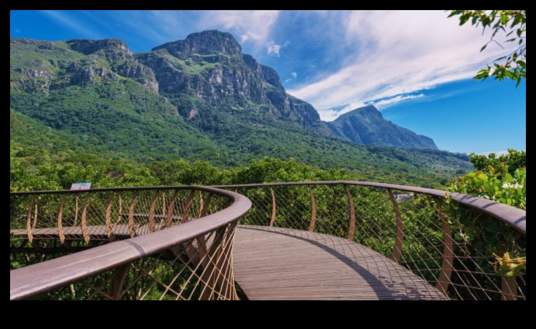 Canopy Chronicles: Разкази от върховете на дърветата за открито блаженство