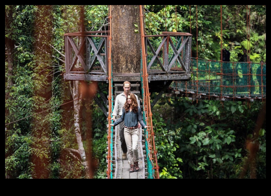 Canopy Chronicles: Разкази от върховете на дърветата за открито блаженство