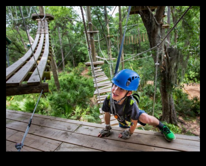 Canopy Chronicles: Разкази от върховете на дърветата за открито блаженство