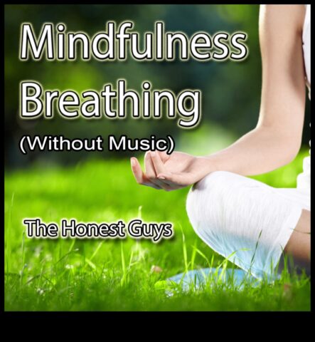 Дъх в съответствие с блаженство Водена медитация за вдишване в съответствие с радост, издишване в съответствие с стресът