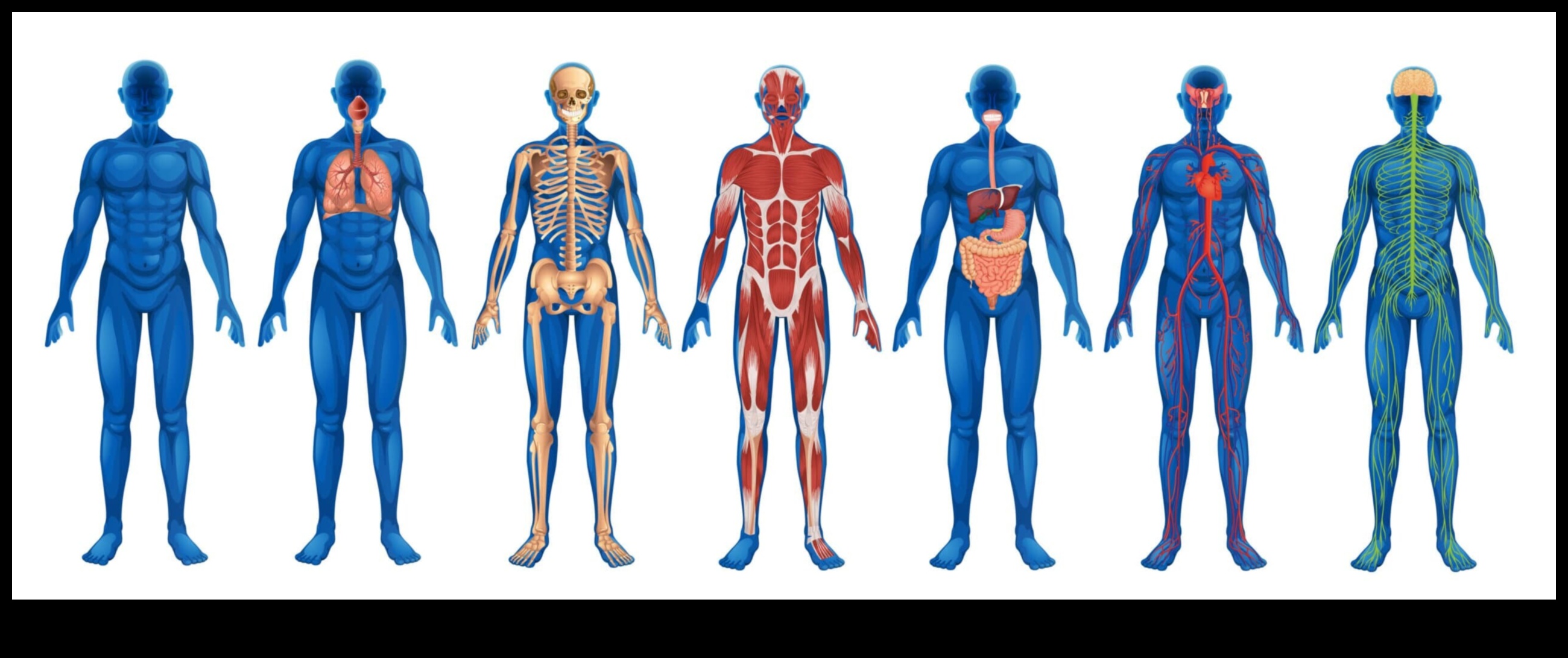 Сетивно изследване, отключващо силата на сканирането на тялото 1 Сензорно изследване: Отключване на силата на сканирането на тялото